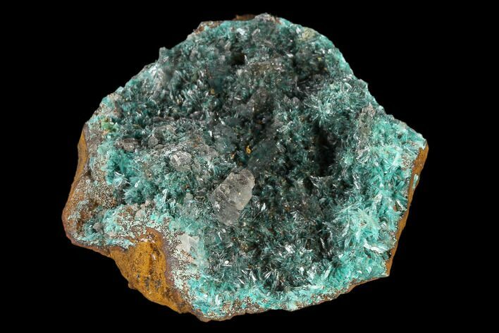 Calcite & Fibrous Aurichalcite Crystal Association - Mexico #119197